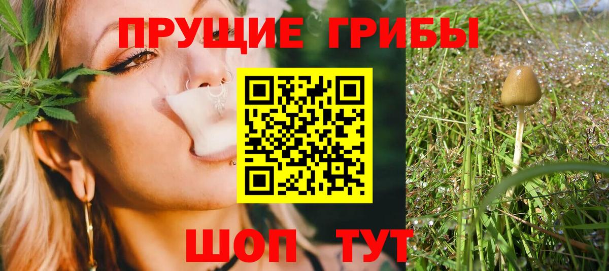 закладка  Галлюциногенные грибы GOLDEN TEACHER  Псилоцибиновые грибы мухоморы  Вход с VPN  Усть-Илимск 